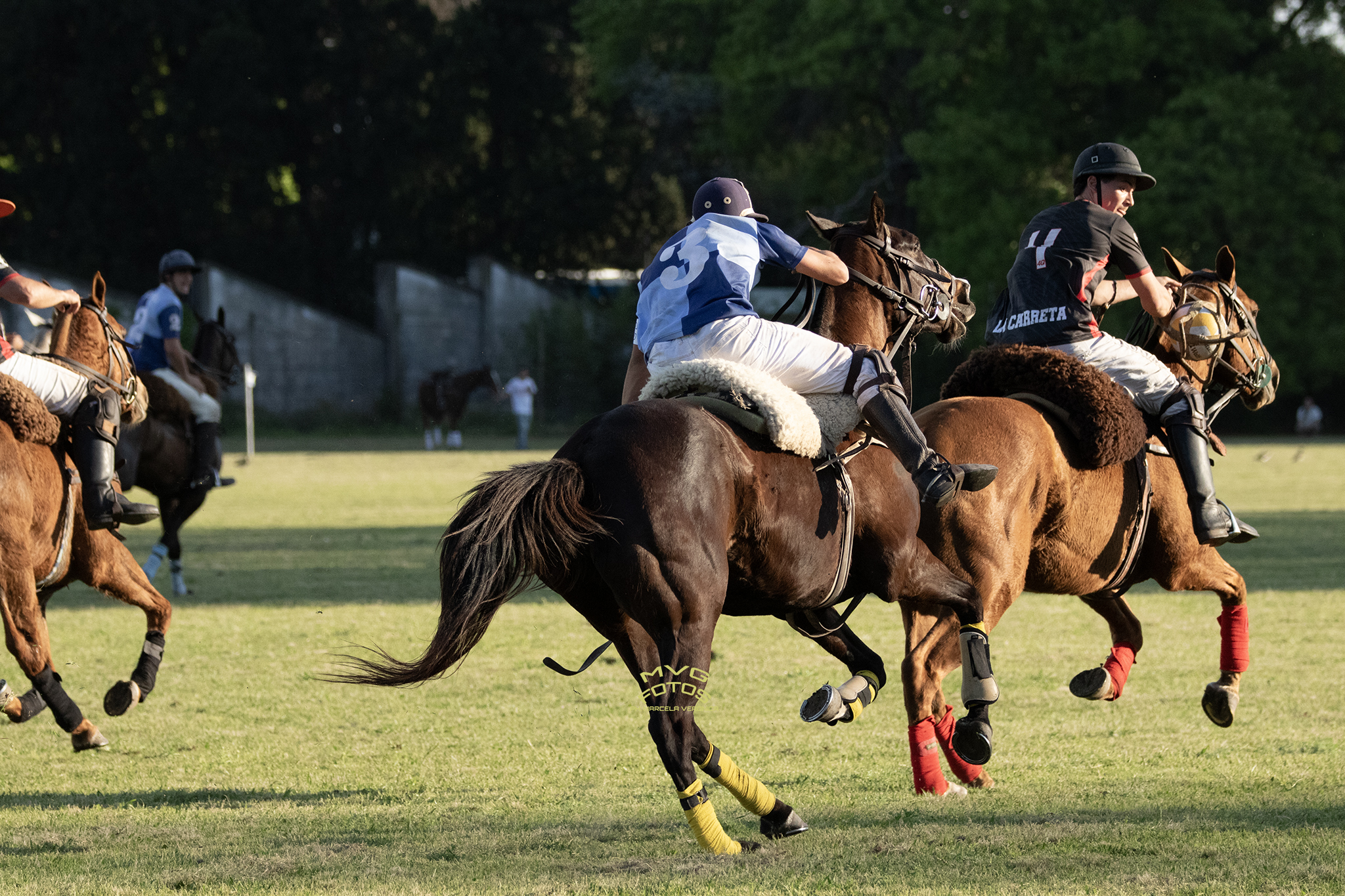 Torneo Remonta y Veterinaria: fin de semana en el Campo Argentino de Pato