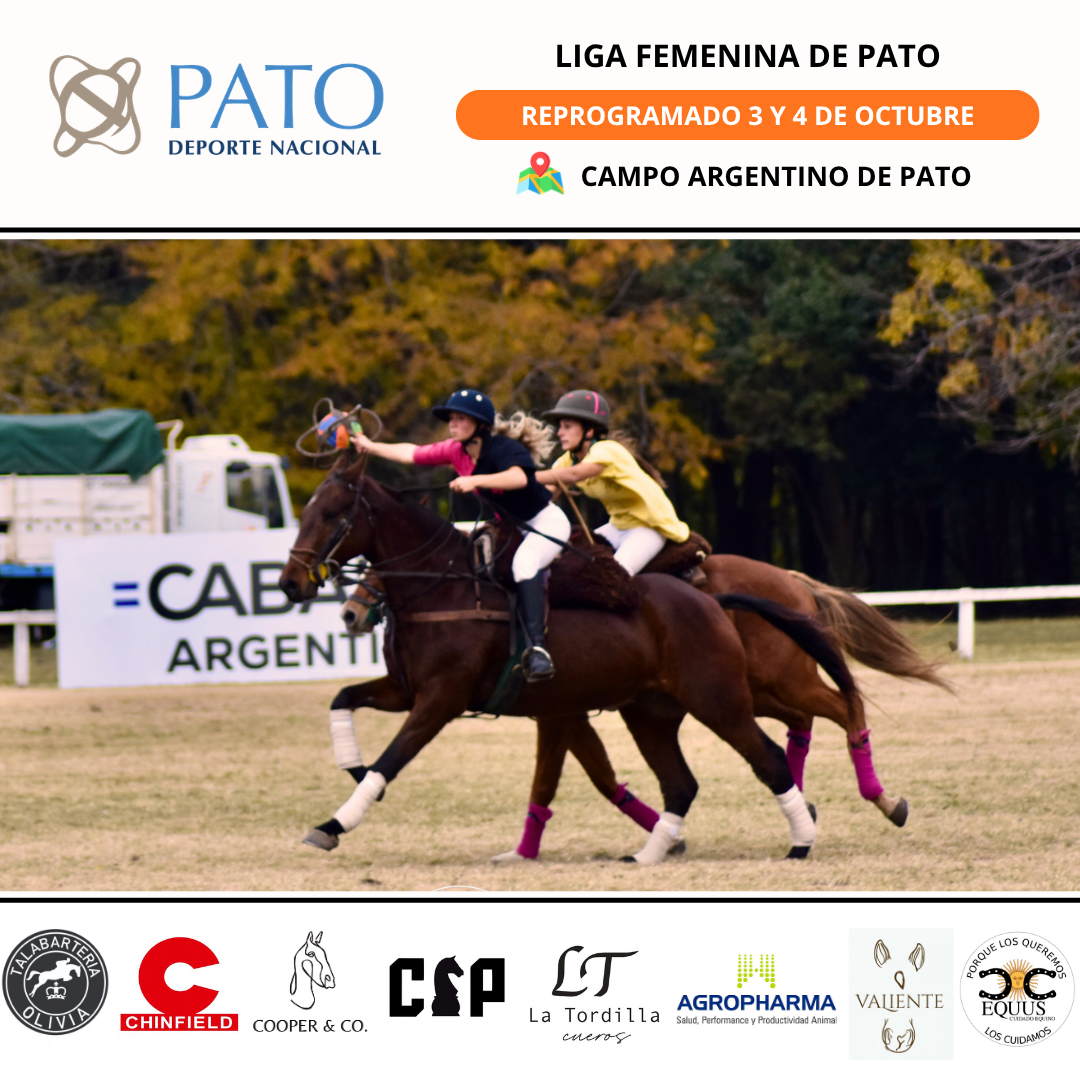 REPROGRAMACIÓN. Liga Femenina.