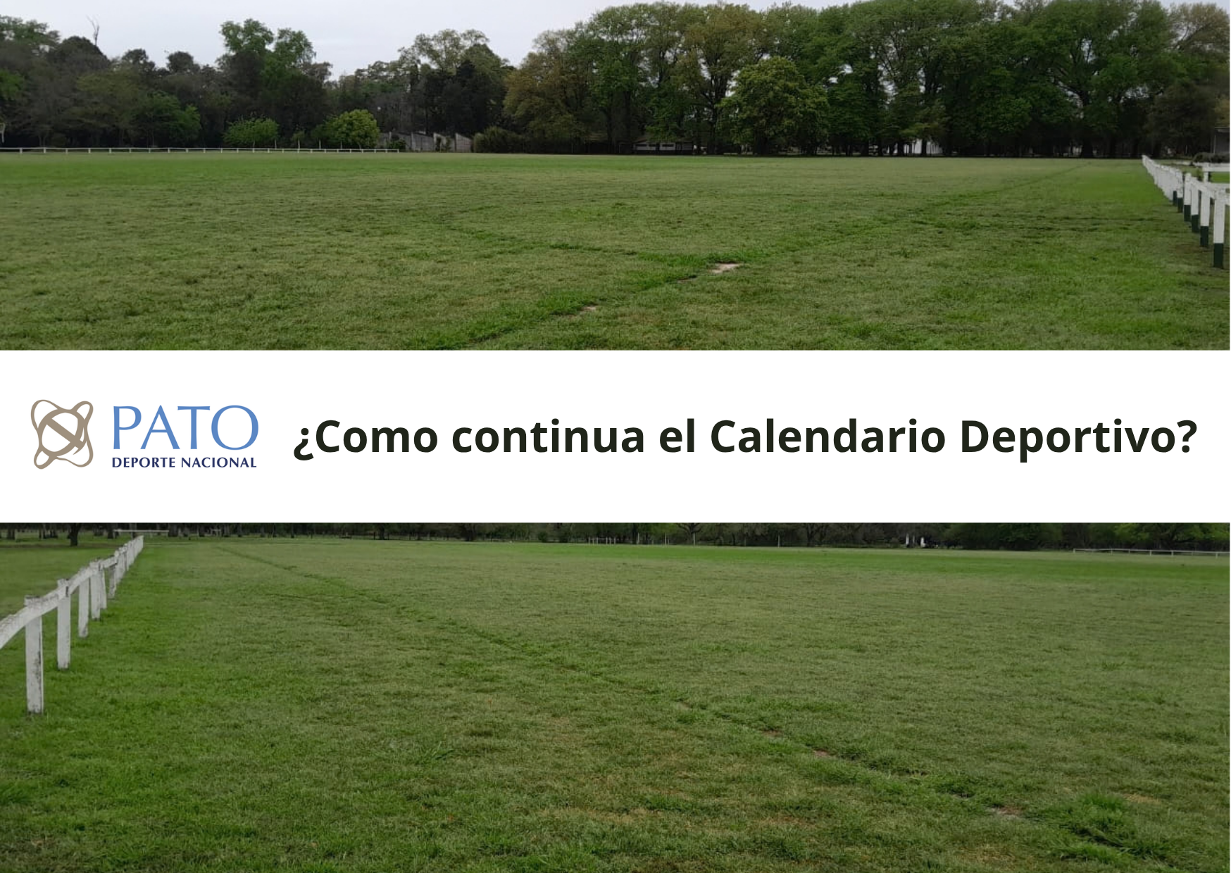Mal clima y reprogramaciones en el Pato